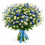 Букеты с незабудками