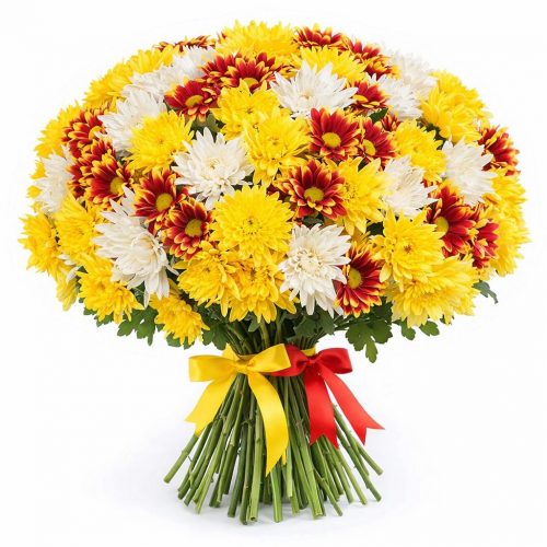 Хризантема кустовая микс 3