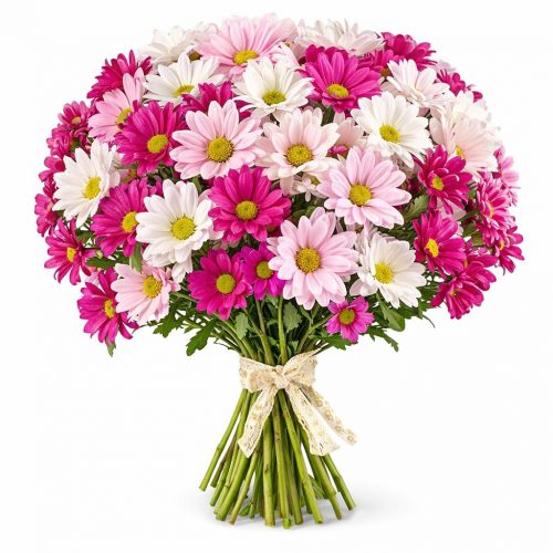 Хризантема кустовая микс 4