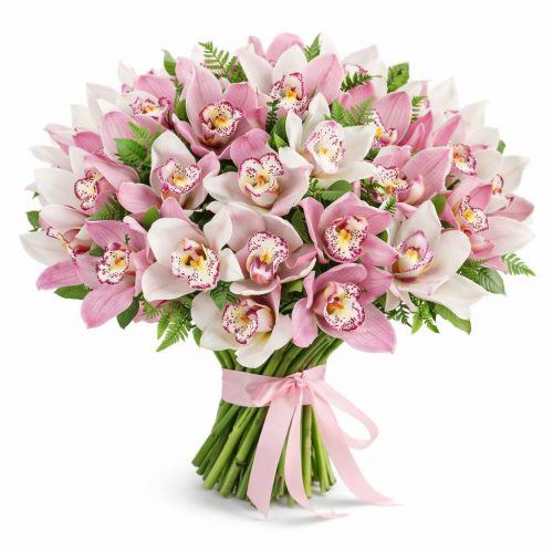 Орхидея микс 1