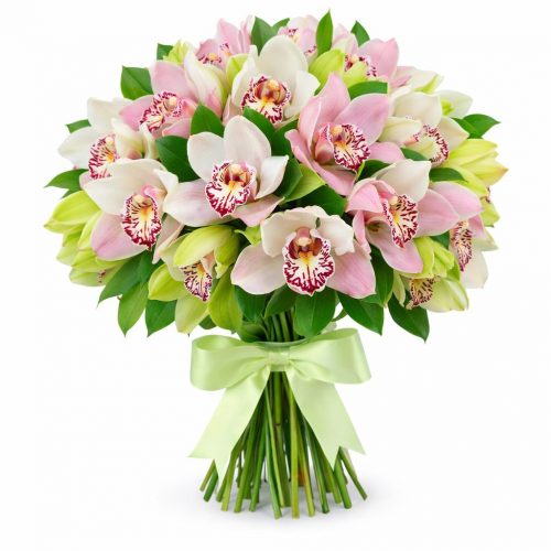 Орхидея микс 4