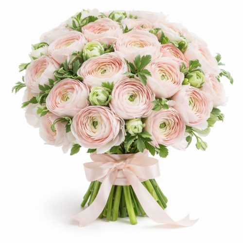 Ранункулюс светло-розовый