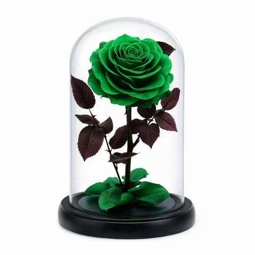 Роза в колбе зеленая