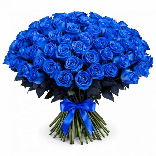Розы Россия синие