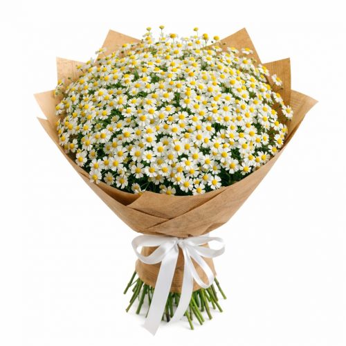 Монобукет «Ромашковый Взрыв»